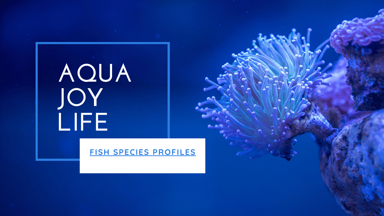 Aqua Joy Life Fish Species Profiles