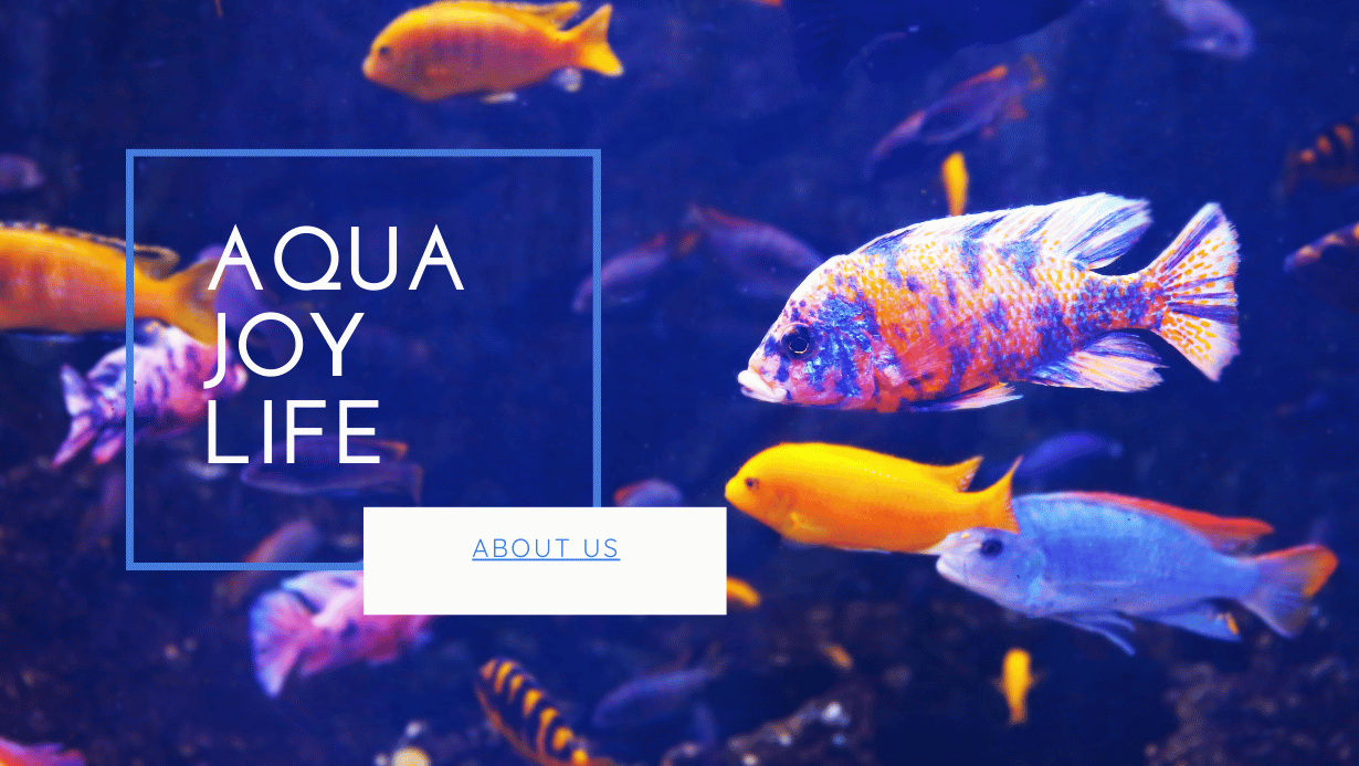 Aqua Joy Life about us