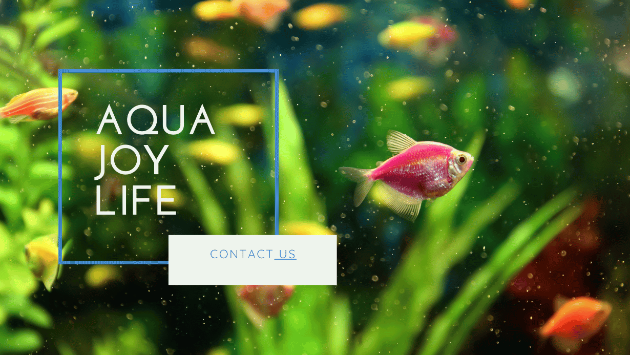 Aqua Joy Life