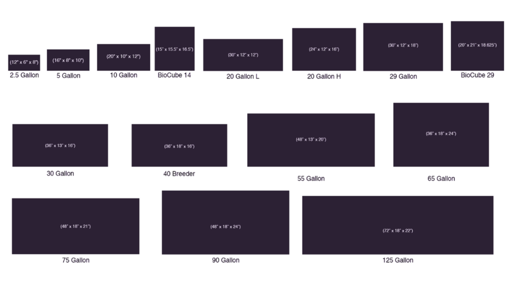 Aquarium fish size guide