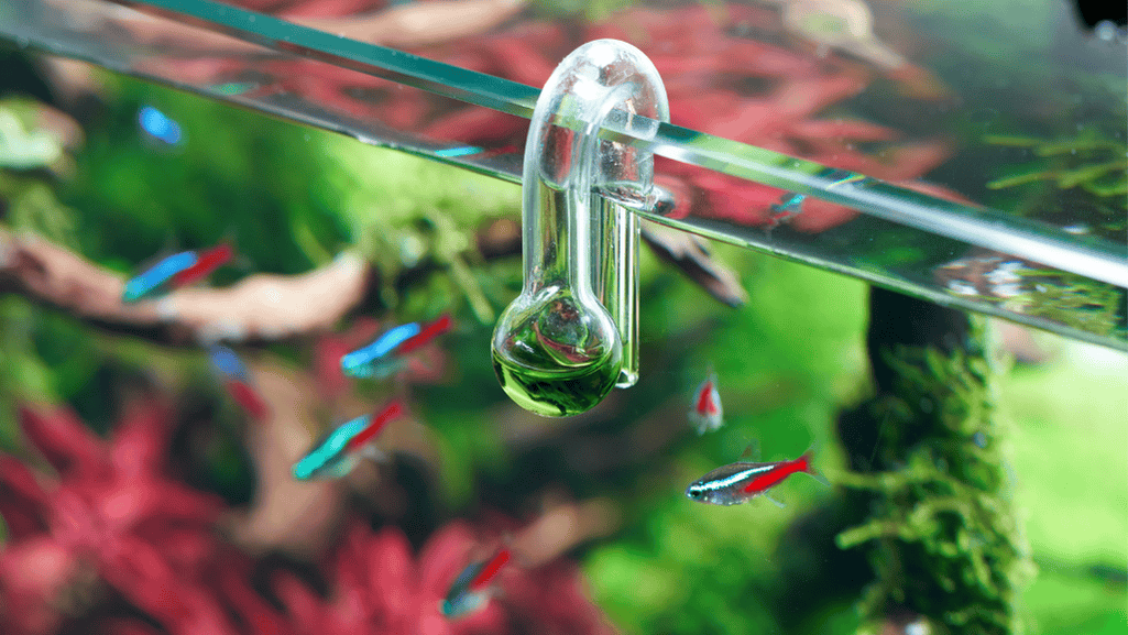 CO2 impact on aquarium water chemistry