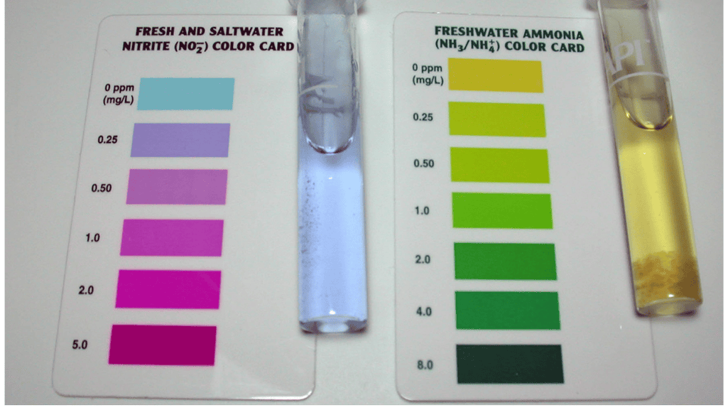Aquarium Water Testing Kits