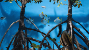 black freshwater fish