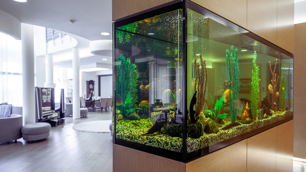 large aquarium fish decor