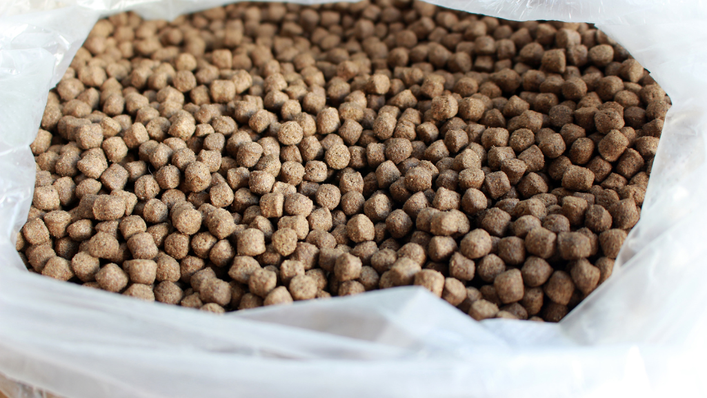 high protein fish food pellets