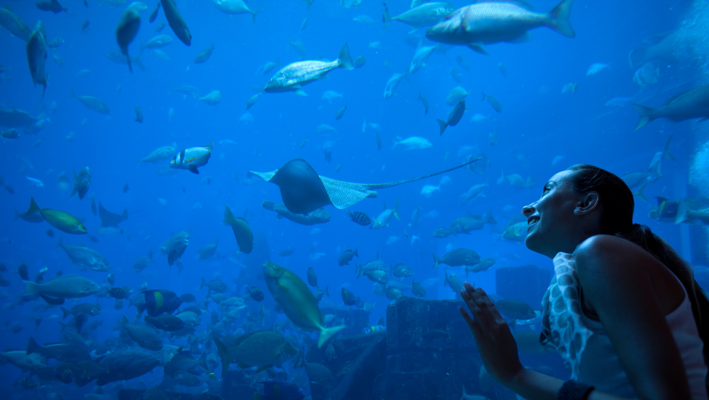 How to Keep Ammonia Levels Down: Aquarium Care Guide 1 how to keep ammonia levels down