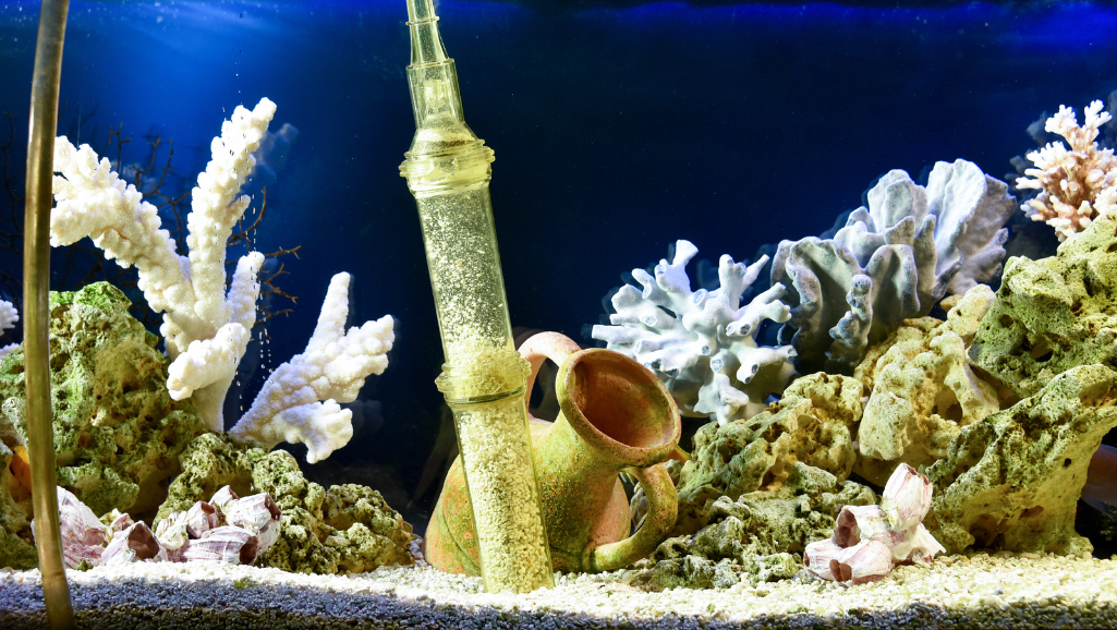 aquarium gravel siphon