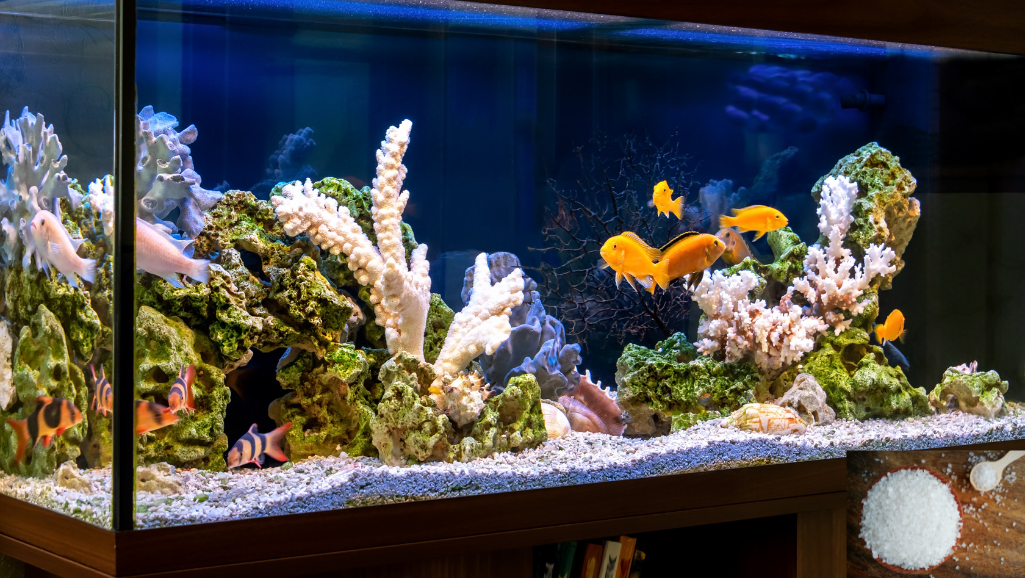 epsom salt bath for fish