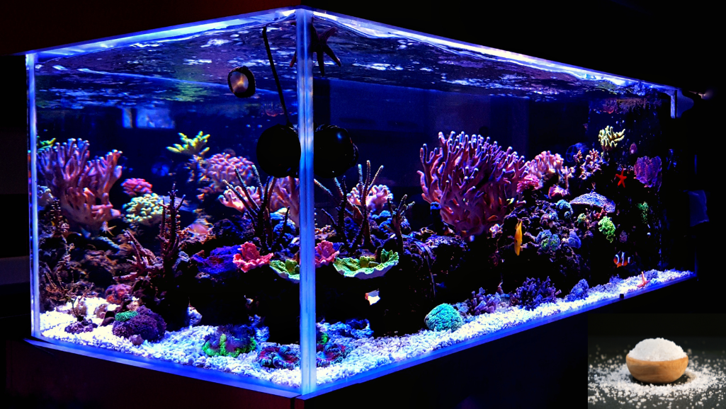 epsom salt for aquarium fish