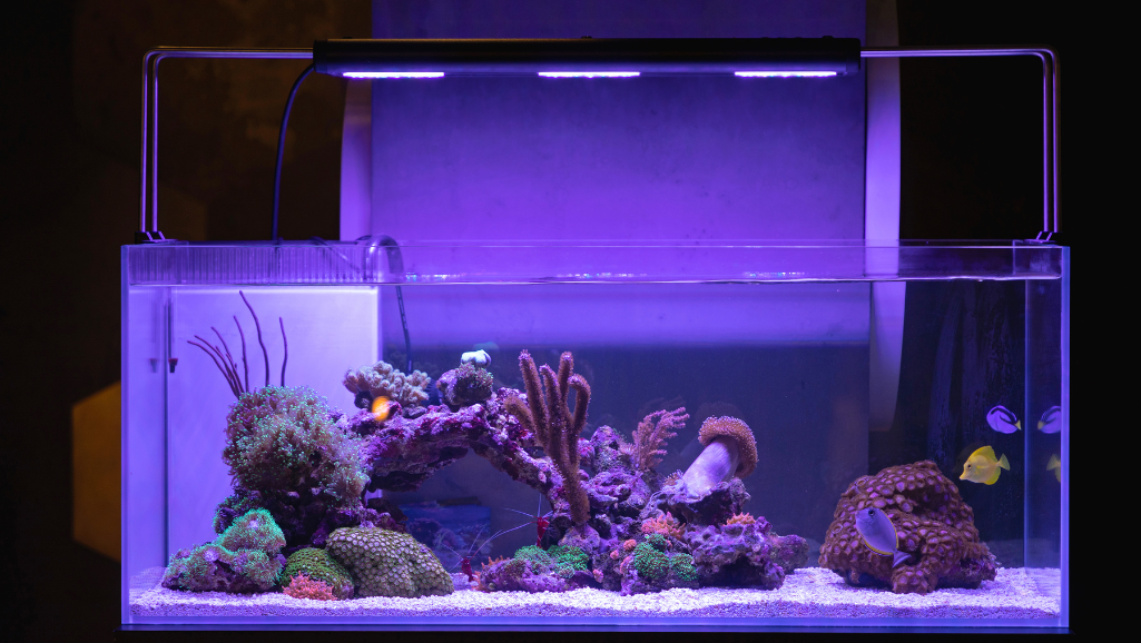 adjustable aquarium lighting