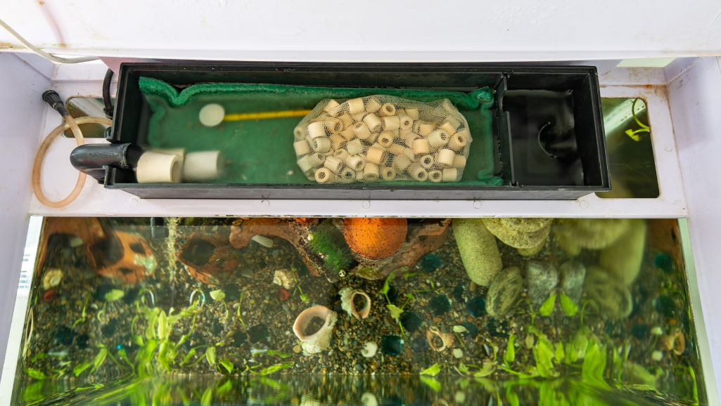 aquarium filters and lighting