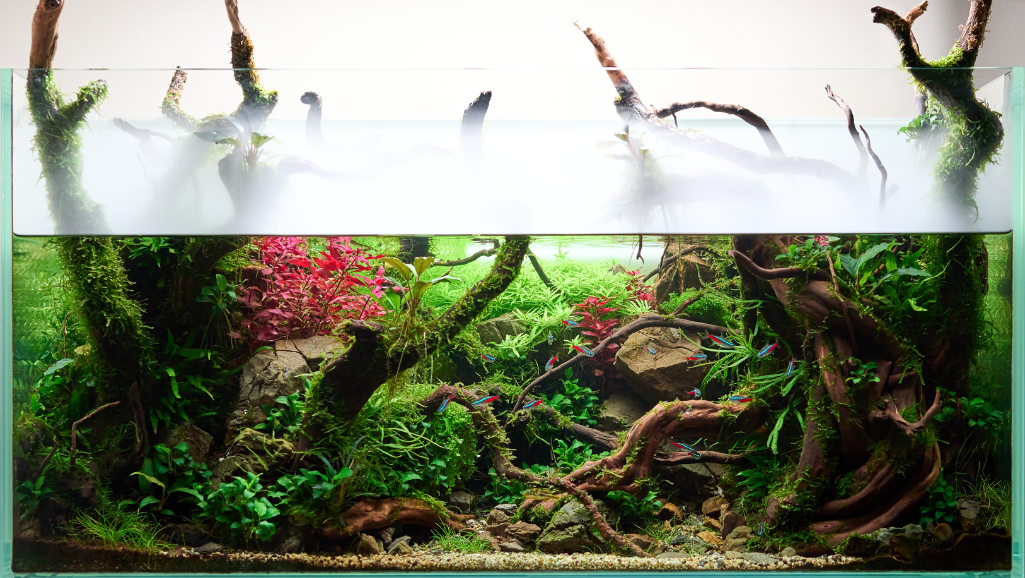 aquascape designs