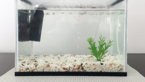 fish tank external canister filter