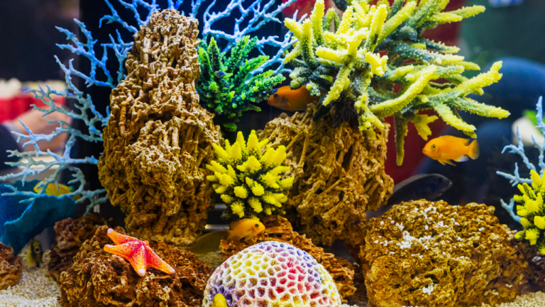 Planted Aquarium Substrate