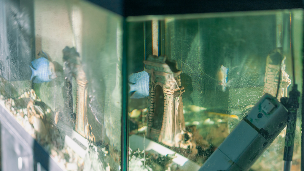 aquarium filtration system