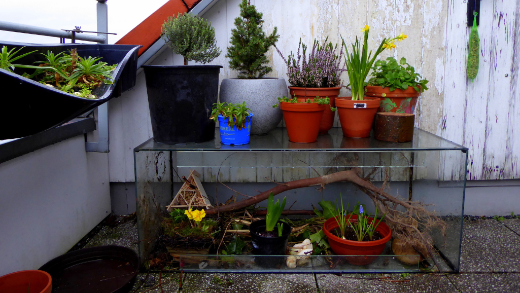 aquarium stand