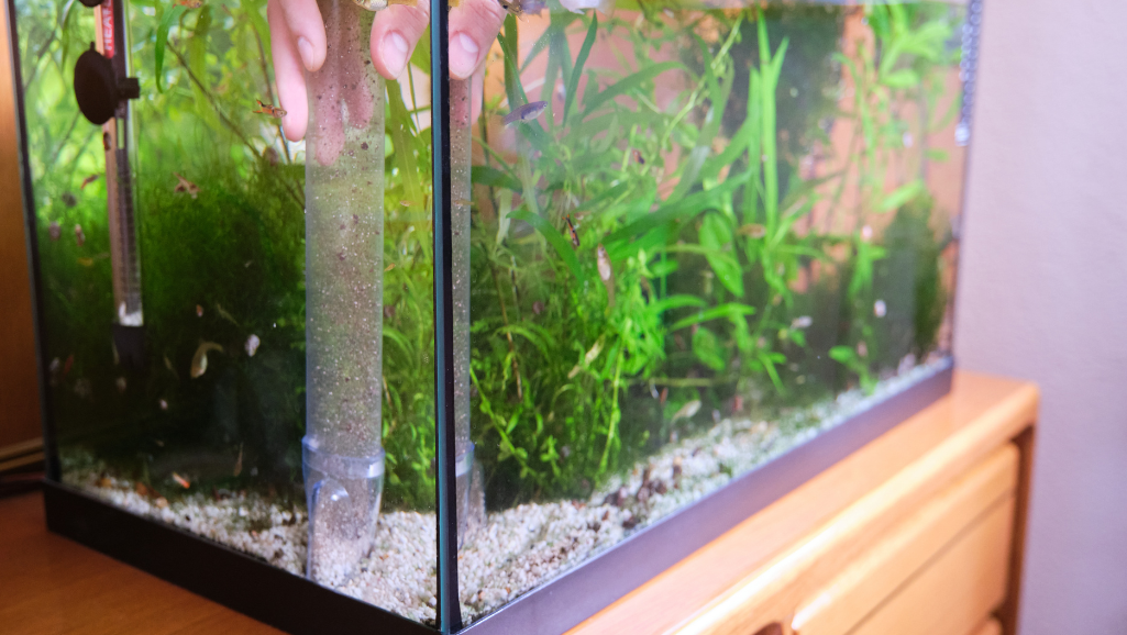 aquarium substrate preparation