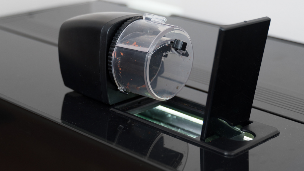 automatic fish feeder 2