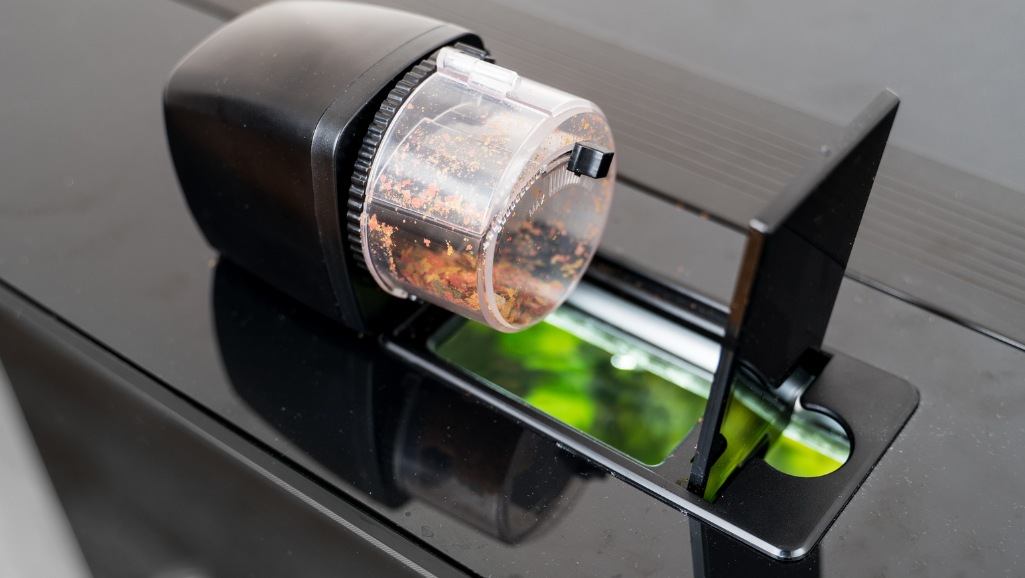 automatic fish feeder maintenance