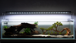 best aquarium filter