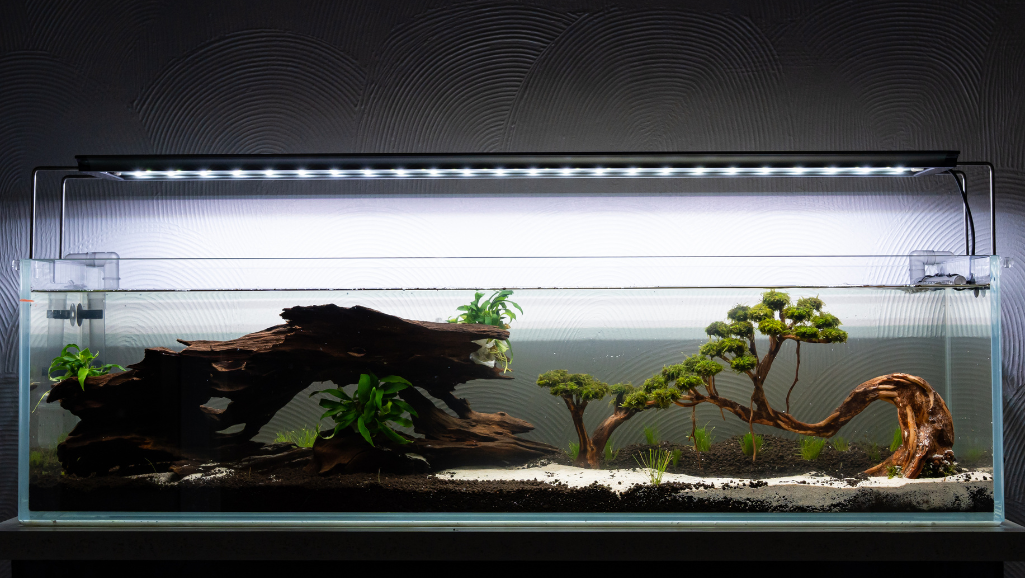 best aquarium filter