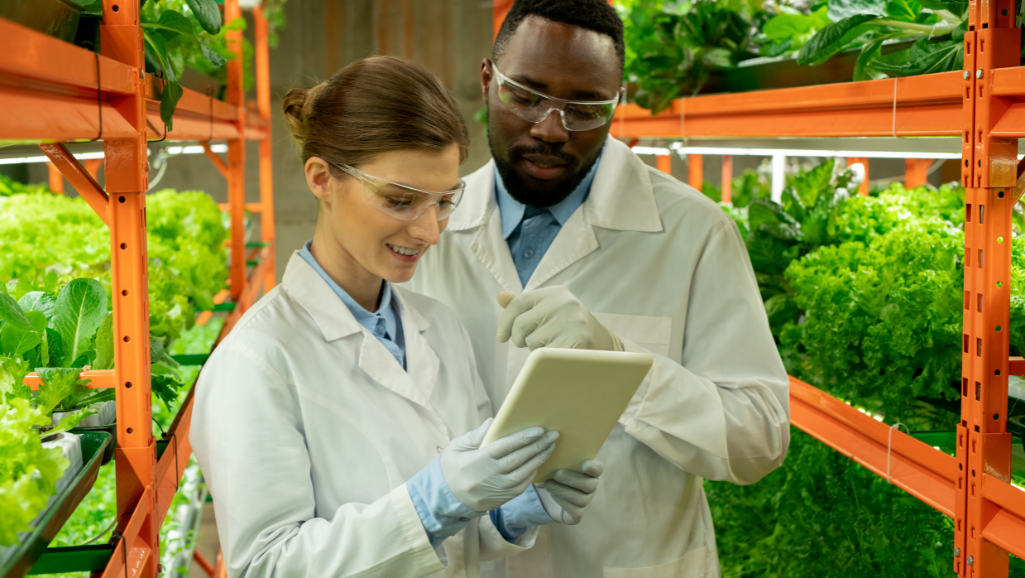 maintaining water quality