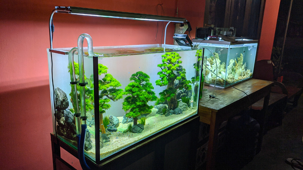 aquascape design aquascape design