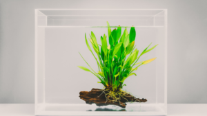 best filter for 100 gallon tank