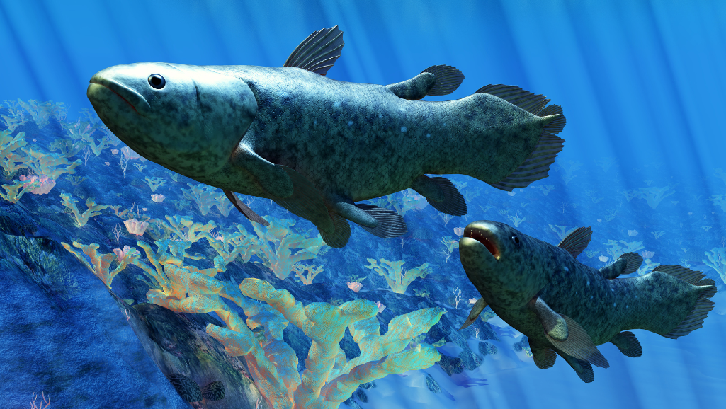 fish transport stress remedy