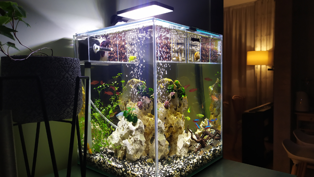 simple aquarium designs