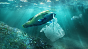 Can Fish Eat Other Fish