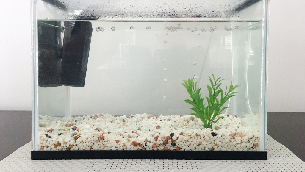 A well-lit, high-resolution close-up image of a tape measure laid across a glass aquarium, showcasing the different size measurements. The aquarium should have a sleek, modern design with clean lines and a minimalist aesthetic. The tape measure should be prominently displayed, with clear numbers and markings visible. The image should convey a sense of precision, attention to detail, and the importance of selecting the right aquarium size for a successful home setup. The lighting should be soft and natural, highlighting the transparency of the glass and the clarity of the measurements. The overall mood should be one of informative utility, guiding the viewer on the crucial step of sizing their perfect aquarium.