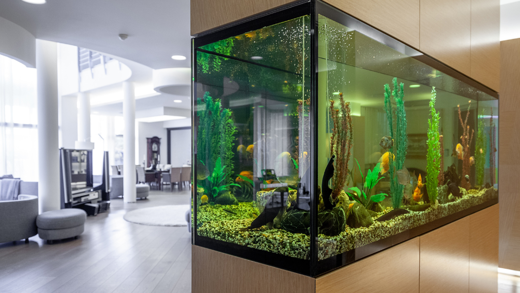 aquarium decoration