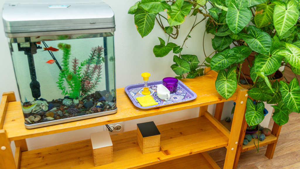 aquarium maintenance
