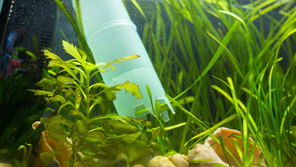 a well-lit, close-up still life photograph of an open aquarium filter showing the internal components, with a focus on the filter media and impeller mechanism. The filter is positioned on a clean, uncluttered surface, with soft, directional lighting emphasizing the textures and details of the various filter parts. The image conveys a sense of technical precision and reveals the inner workings of the filter, providing a clear visual reference for aquarium filter maintenance.