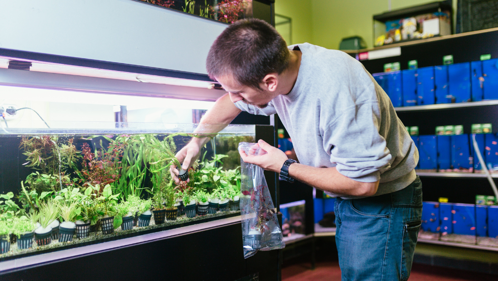advanced aquarium cleaning