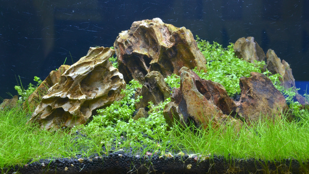 A diverse arrangement of popular aquascaping rocks displayed in a natural, well-lit setting. In the foreground, a cluster of smooth, rounded river rocks in various shades of gray, their surfaces glistening with a subtle sheen. In the middle ground, angular, craggy lava rocks in deep charcoal and rusty hues, their irregular shapes and textures catching the light. In the background, a scattering of flat, slate-like stones in earthy tones, their layered patterns and sharp edges creating visual interest. The overall composition conveys a sense of balance, depth, and the essential elements of an impactful aquarium hardscape.