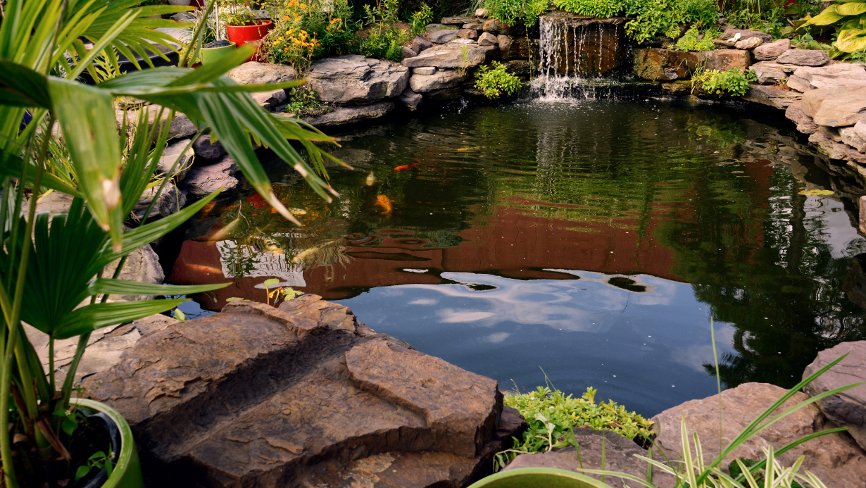 A verdant landscape with a crystalline natural pond, its waters gently filtered through a lush wetland ecosystem. In the foreground, a series of carefully constructed stone terraces and cascading waterfalls, their smooth surfaces reflecting the warm sunlight. Surrounding the pond, a tapestry of vibrant aquatic plants and grasses, their delicate fronds swaying in a light breeze. In the middle ground, a sculpted wooden dock extends into the pond, inviting visitors to immerse themselves in the tranquil, rejuvenating waters. In the background, a dense forest canopy, its dappled shadows creating a serene, natural ambiance. The overall scene exudes a sense of balance, harmony, and the restorative power of a well-designed natural filtration system.