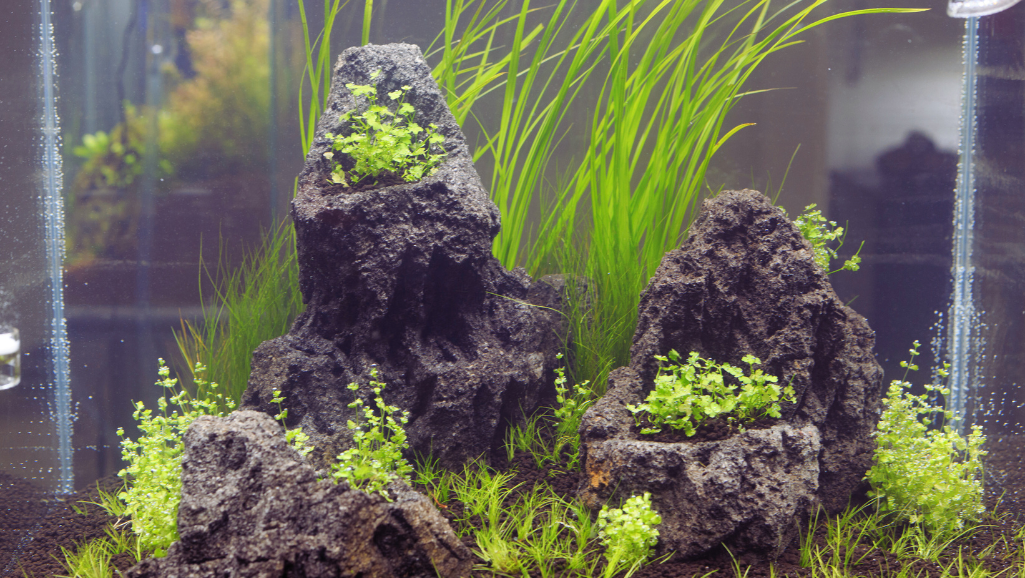 hA layered aquarium substrate, showcasing the depth and complexity of a planted tank. In the foreground, a lush carpet of verdant moss covers the base, gently undulating with the flow of the water. Above, a middle layer of nutrient-rich soil provides the foundation for vibrant aquatic plants, their leaves casting intricate shadows. In the background, a final topping of decorative gravel or sand creates a visually striking aesthetic, complementing the natural tones and textures. The scene is illuminated by soft, diffused lighting, casting a serene, atmospheric glow over the entire setup. Captured from a low, close-up angle to emphasize the layered depth and textures, this image perfectly encapsulates the "Building Layers" section of the article.