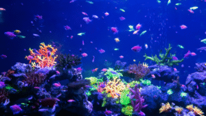 A vibrant nano aquarium filled with a variety of captivating freshwater fish. In the foreground, delicate neon tetras and shimmering celestial pearl danios dart amongst lush green aquatic plants. In the middle ground, a bold betta fish flares its flowing fins, its iridescent scales catching the soft, diffused lighting. In the background, a harmonious school of tiny rasboras and endler's livebearers weave through the driftwood and rock formations, creating a mesmerizing underwater ecosystem. The scene is bathed in a warm, natural glow, capturing the allure and diversity of these small but remarkable aquarium inhabitants.