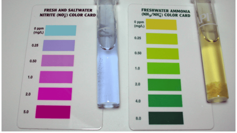 Discover the Enchanting World of Apistogramma Fish 2 Aquarium Water Testing Kits