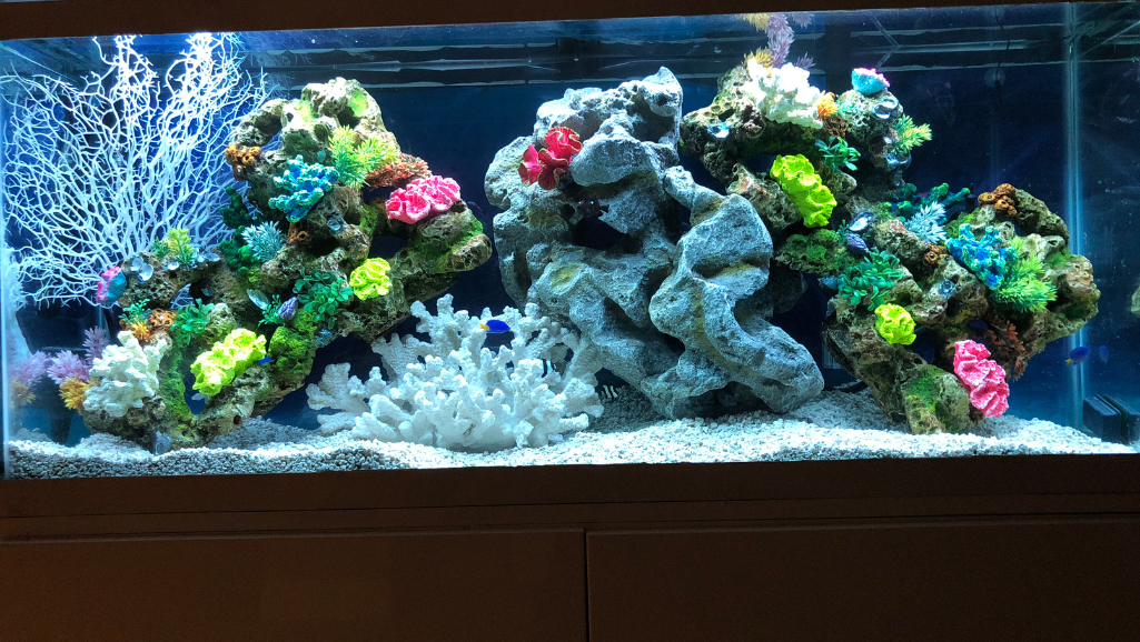 Natural, electricity-free filtration concept in a planted aquarium Natural, electricity-free filtration concept in a planted aquarium