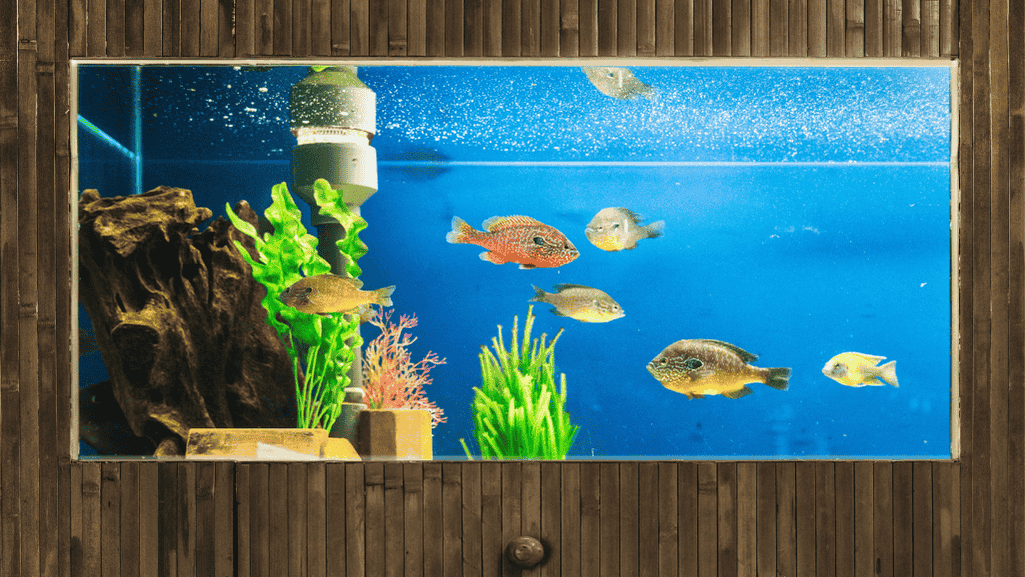 Proper Aquarium Test Kit Storage