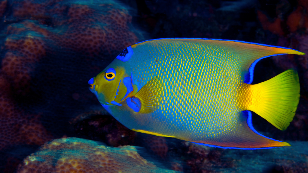 A high-quality close-up photograph of a varied assortment of coral reef fish food, including vitamin-enriched flakes, freeze-dried krill, and spirulina-infused granules, arranged neatly on a glossy black background with soft, even lighting from the front and sides, creating a clean, minimalist, and visually appealing composition that showcases the vibrant colors and textures of the different food items in a way that would be suitable for illustrating a section on &amp;quot;Coral Beauty Angelfish Care: Tank Setup, Diet, and Reef Considerations&amp;quot;.