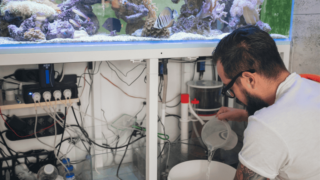 Feeding Practices Impact on Aquarium Water Quality