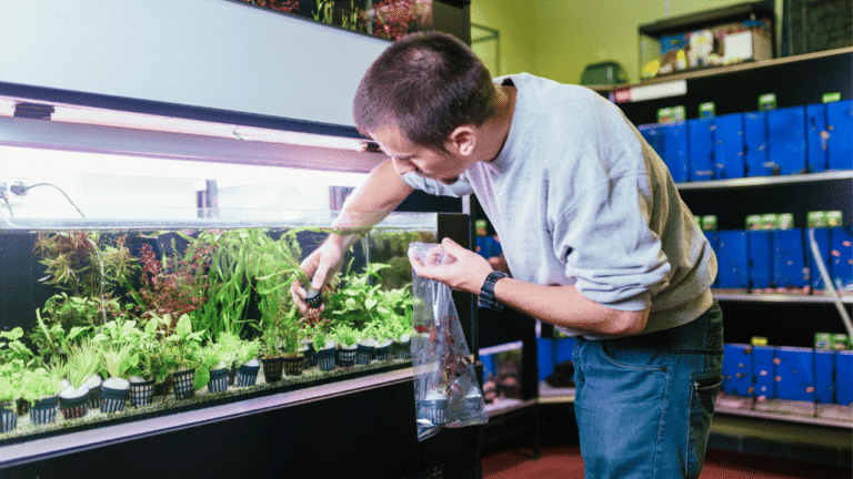 Aquarium lighting options